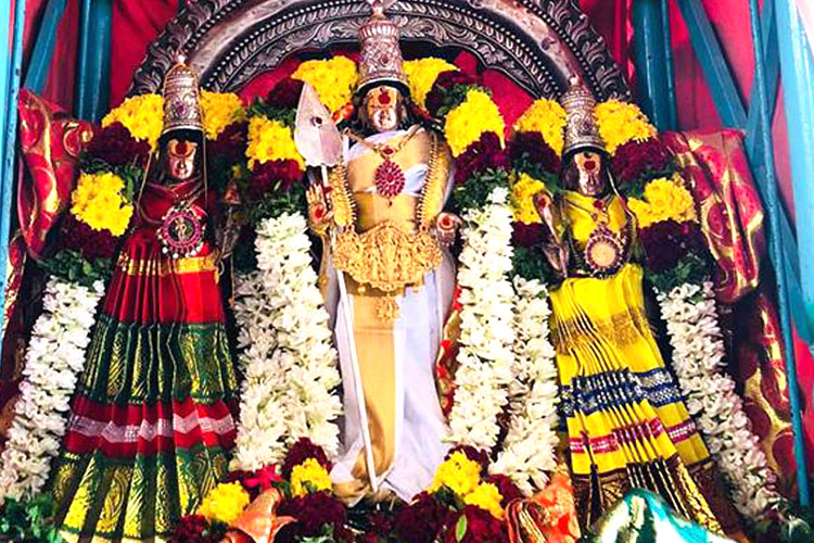 முருகனுக்குரிய தைப்பூசத் திருநாள்!